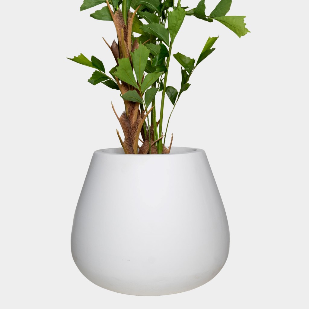 Planter Box