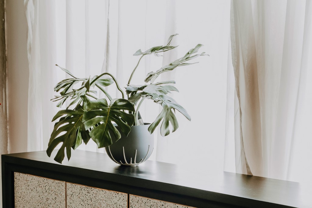 Artificial Plant